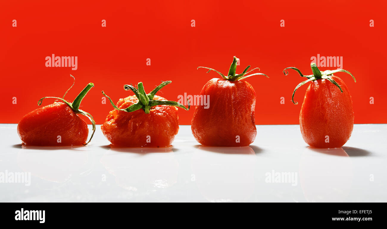 Peeled tomatoes sitting in a row with a red background Stock Photo