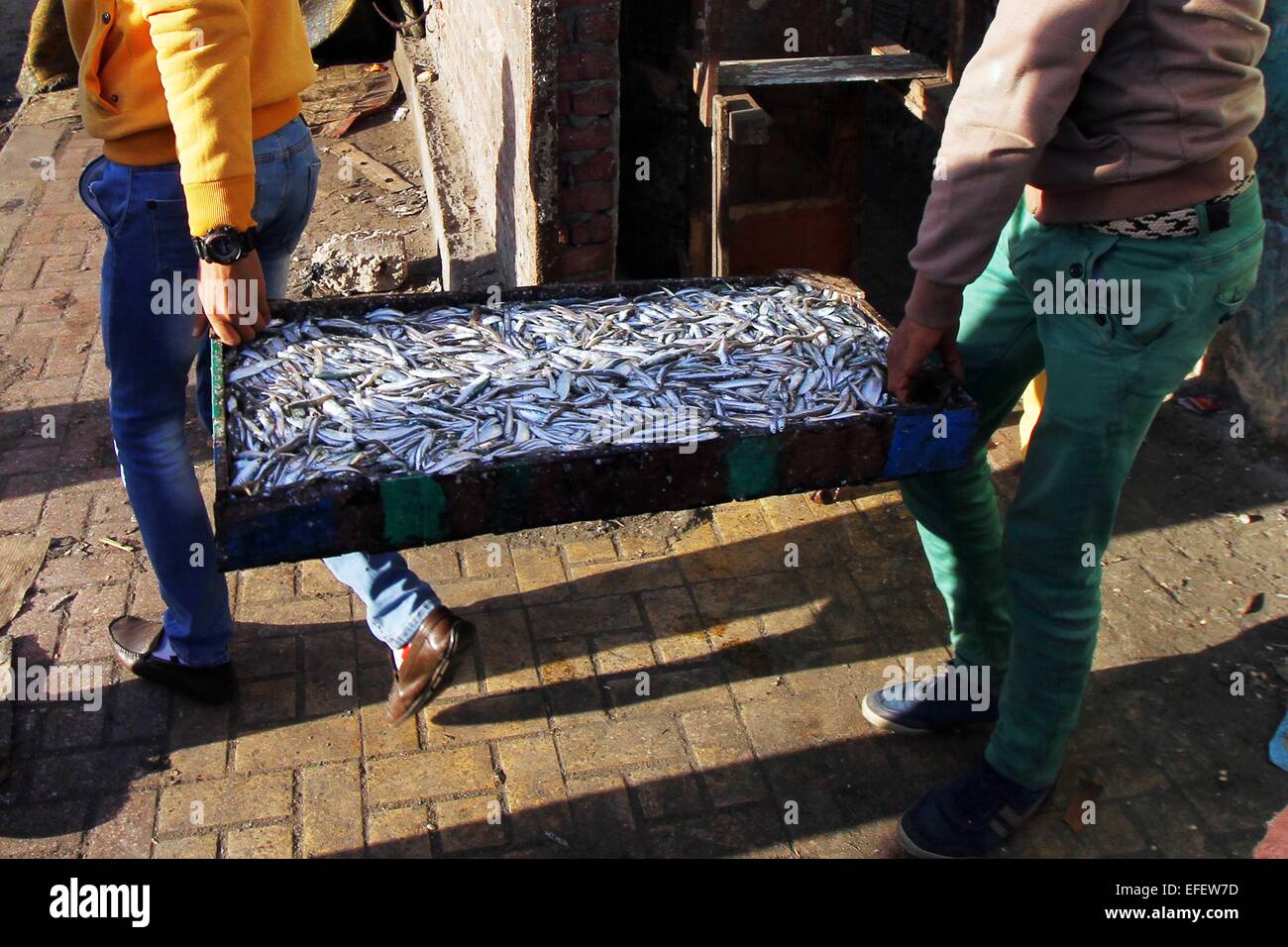 Fish market alexandria egypt hires stock photography and images Alamy