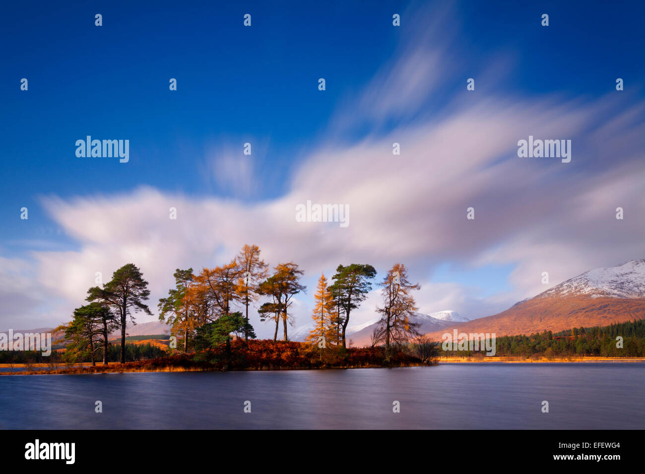 Some beautiful remnants of old Caledonian forest can be found around Loch Tulla, including on this small island on the Loch. Stock Photo