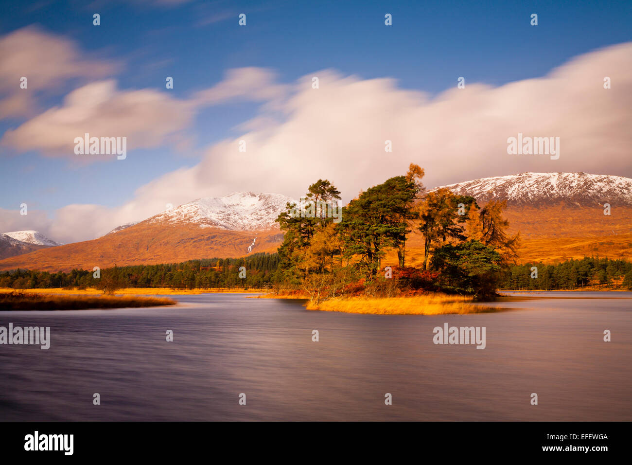 Island with pine trees in Loch Tulla, Blackmount Stock Photo