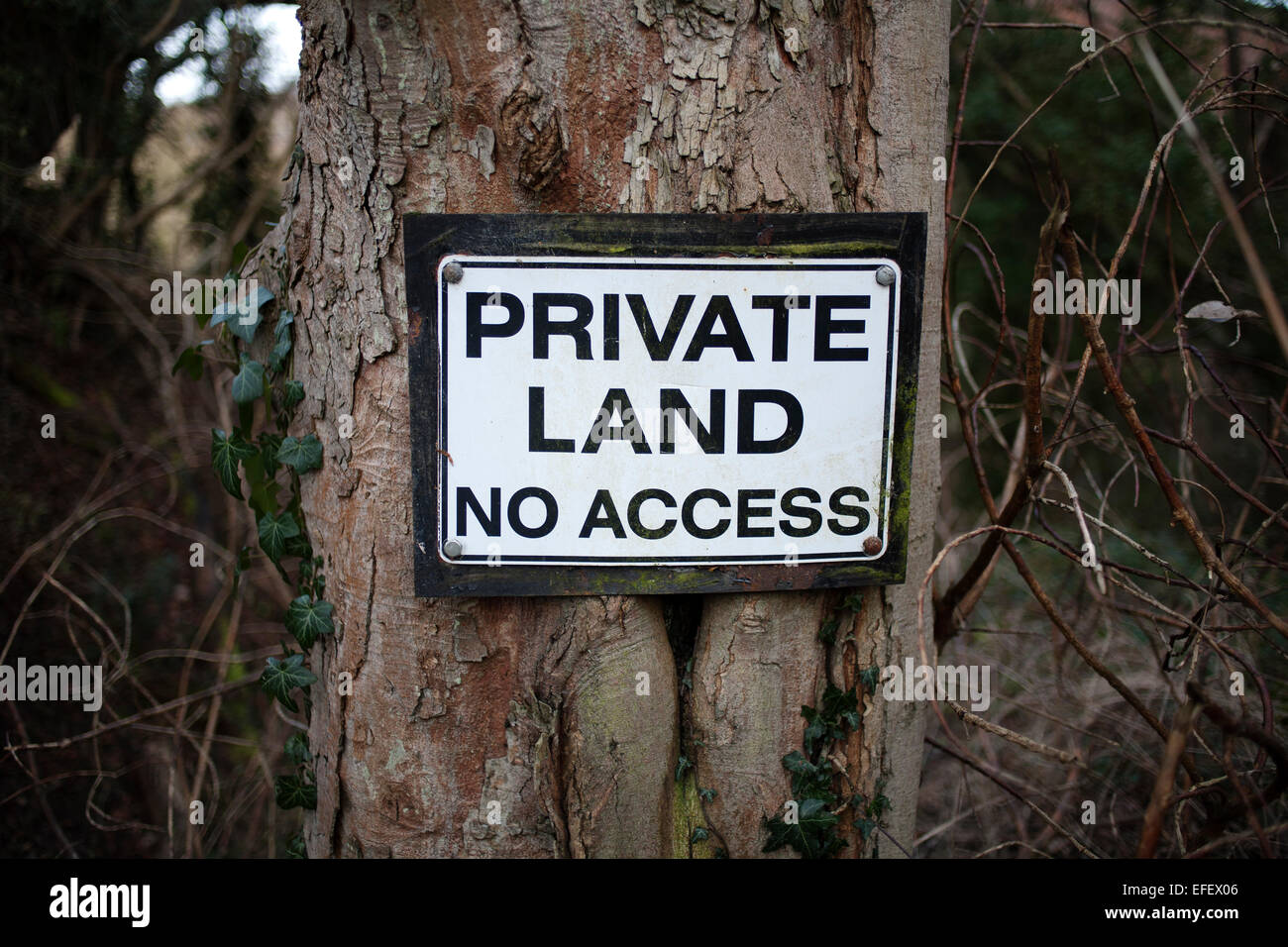 A Private Land sign nailed to a tree. Stock Photo