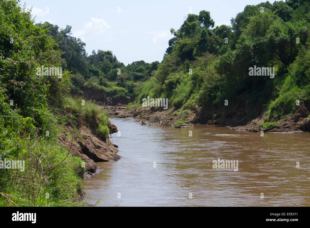 Mara river hi-res stock photography and images - Alamy