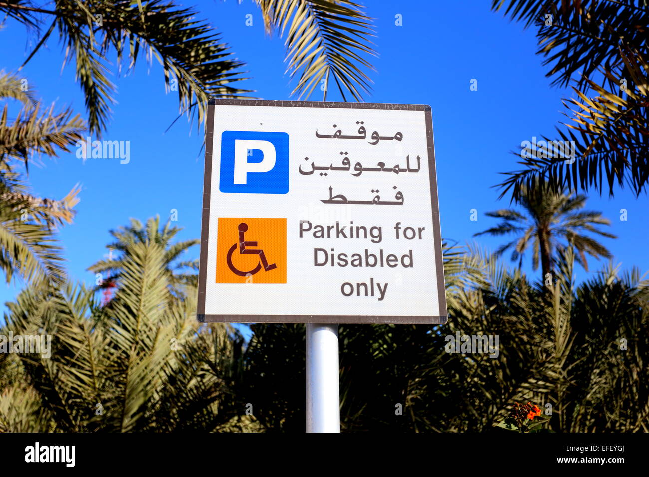 A sign in Arabic and English indicating parking for disabled only, Budaiya, Kingdom of Bahrain