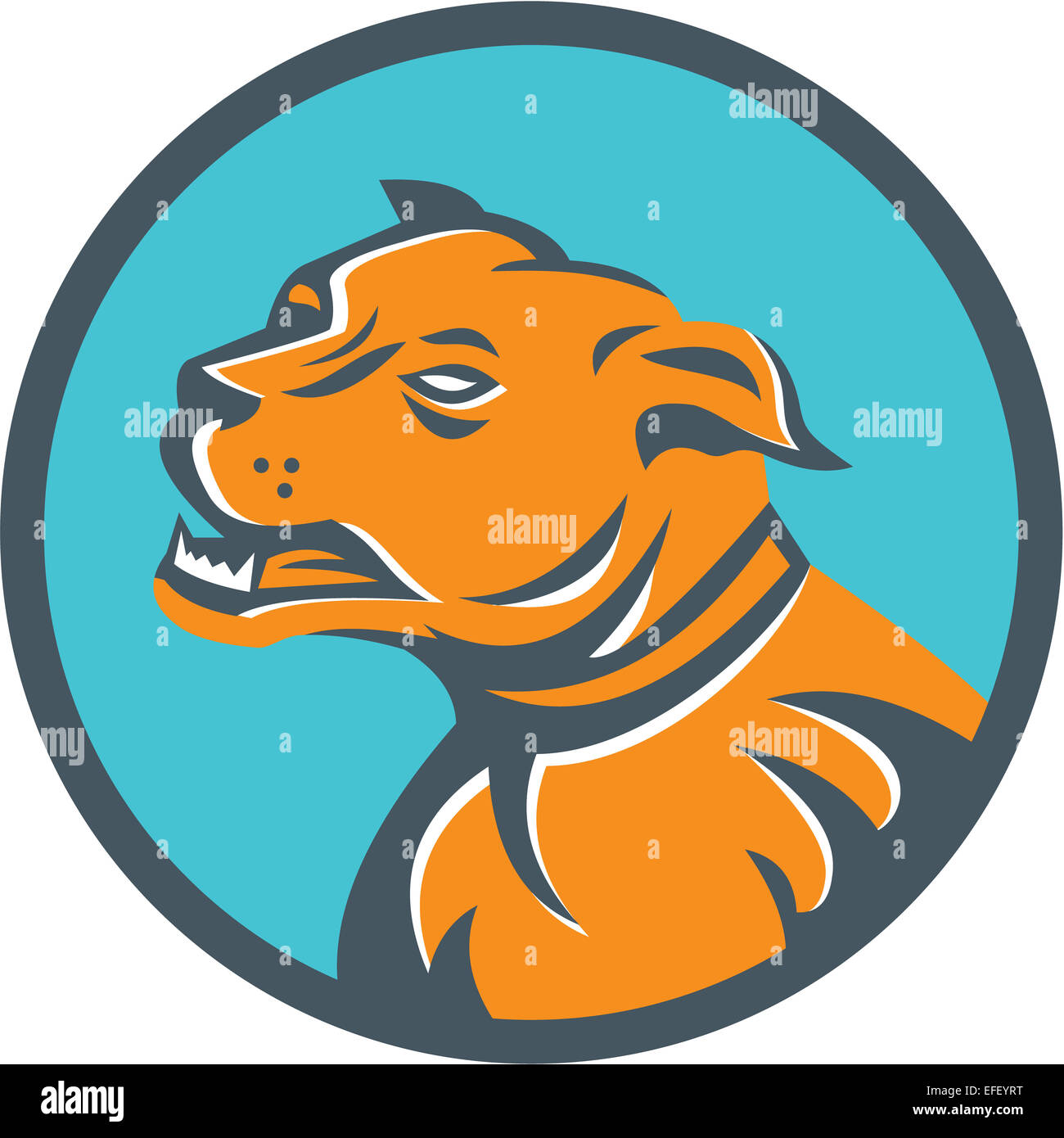 Illustration of an angry mastiff dog mongrel viewed from the side set inside circle on isolated background done in retro style. Stock Photo