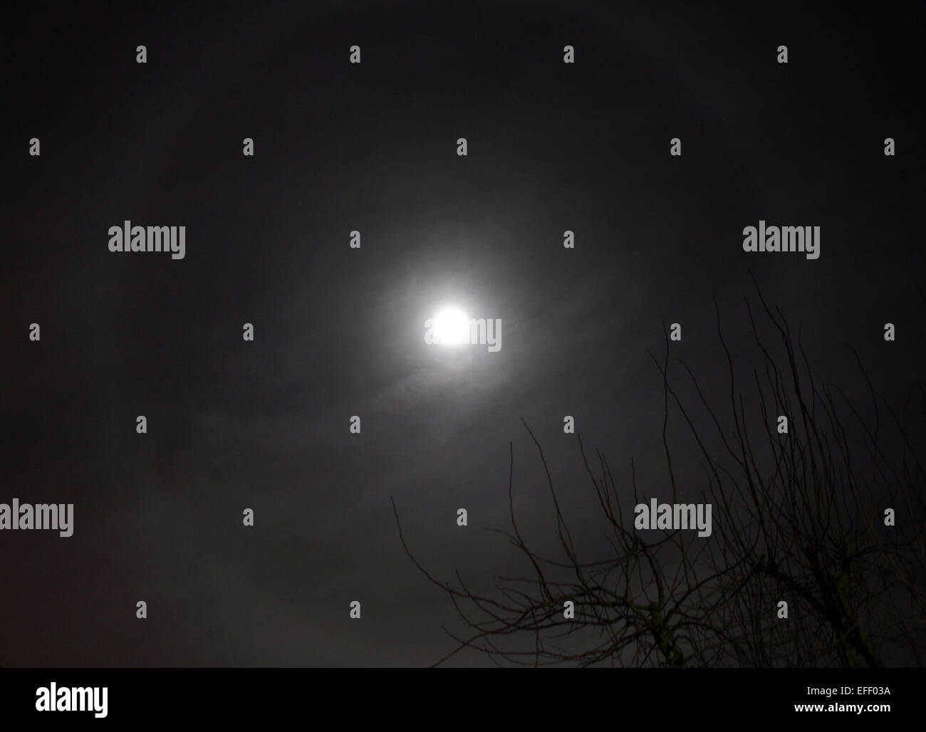 Epsom, Surrey, UK. 2nd February 2015. UK Weather: This rare phenonemon of seeing a halo around the moon happens when thin cirrus clouds are drifting high up in the sky. Tiny ice crystals in Earth’s atmosphere cause the halos by refracting and reflecting the light. Credit:  Julia Gavin UK/Alamy Live News Stock Photo