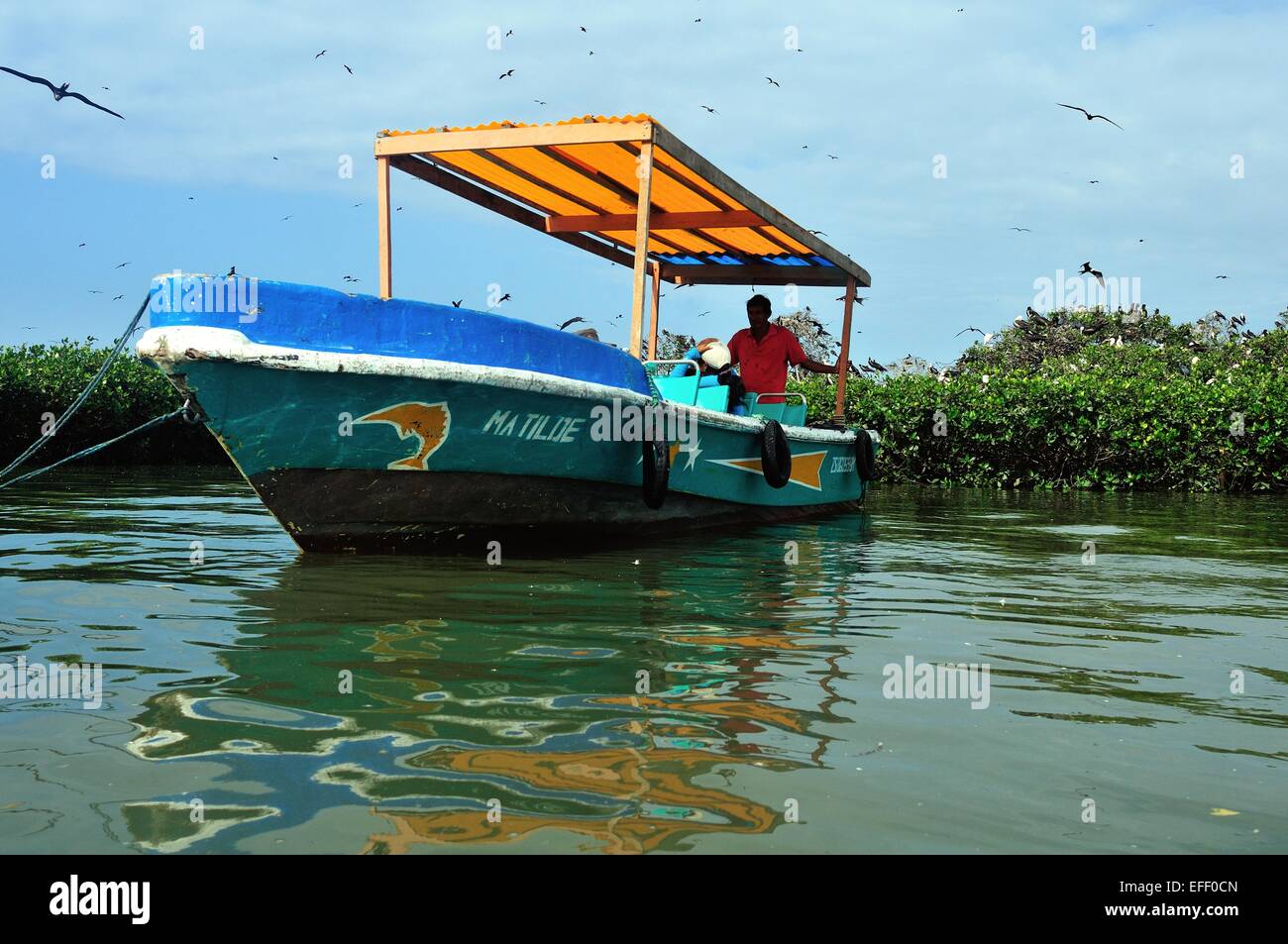 Monitoring Frigate bird  " Isla de los Pajaros " -  PUERTO PIZARRO. Department of Tumbes .PERU Stock Photo