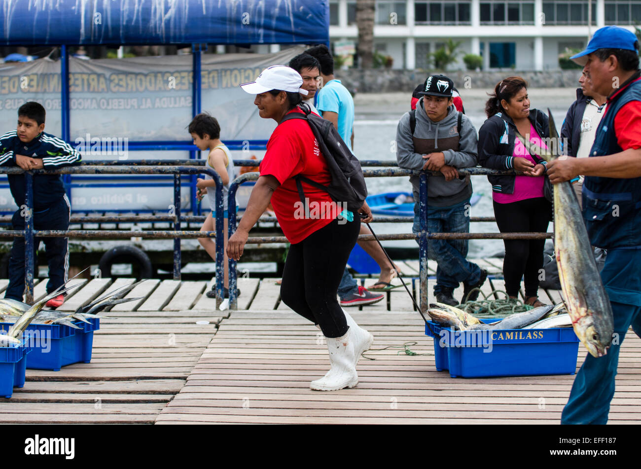 Fishing (MahiMahi fish,Coryphaena Hippurus) unloading at Ancón port