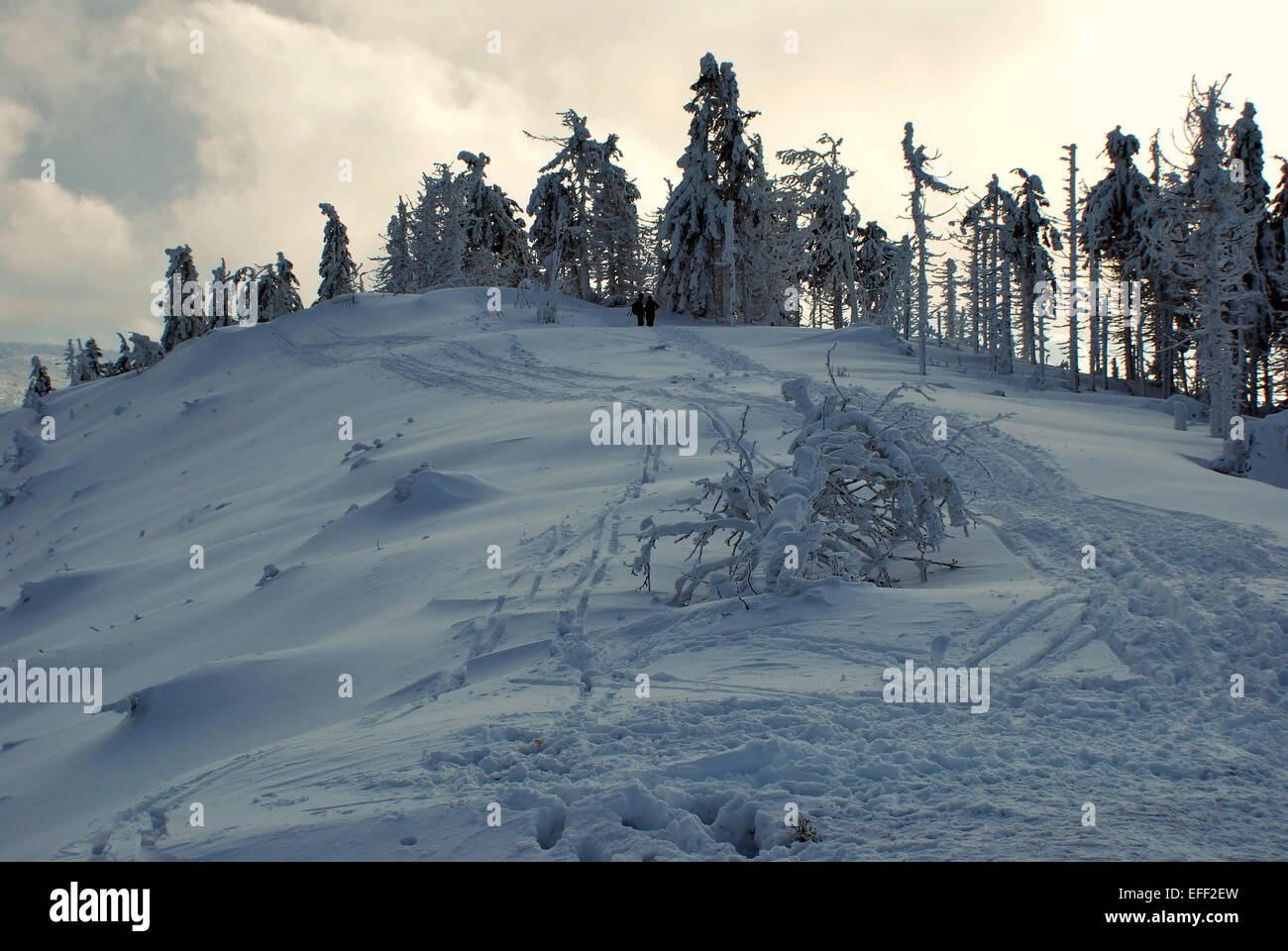 hill summit with tree and lot of snow - Malinowska Skala in Beskid Slaski Mts. Stock Photo