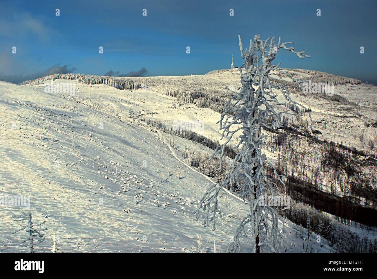 Male Skrzyczne and Skrzyczne hill in Beskid Slaski from Malinowska Skala during winter day with blue sky Stock Photo