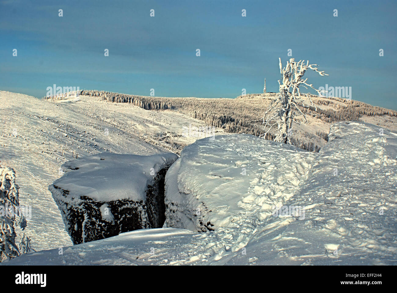 rock with tree and hill during winter day - Malinowska Skala and Skrzyczne in Beskid Slaski mountains Stock Photo