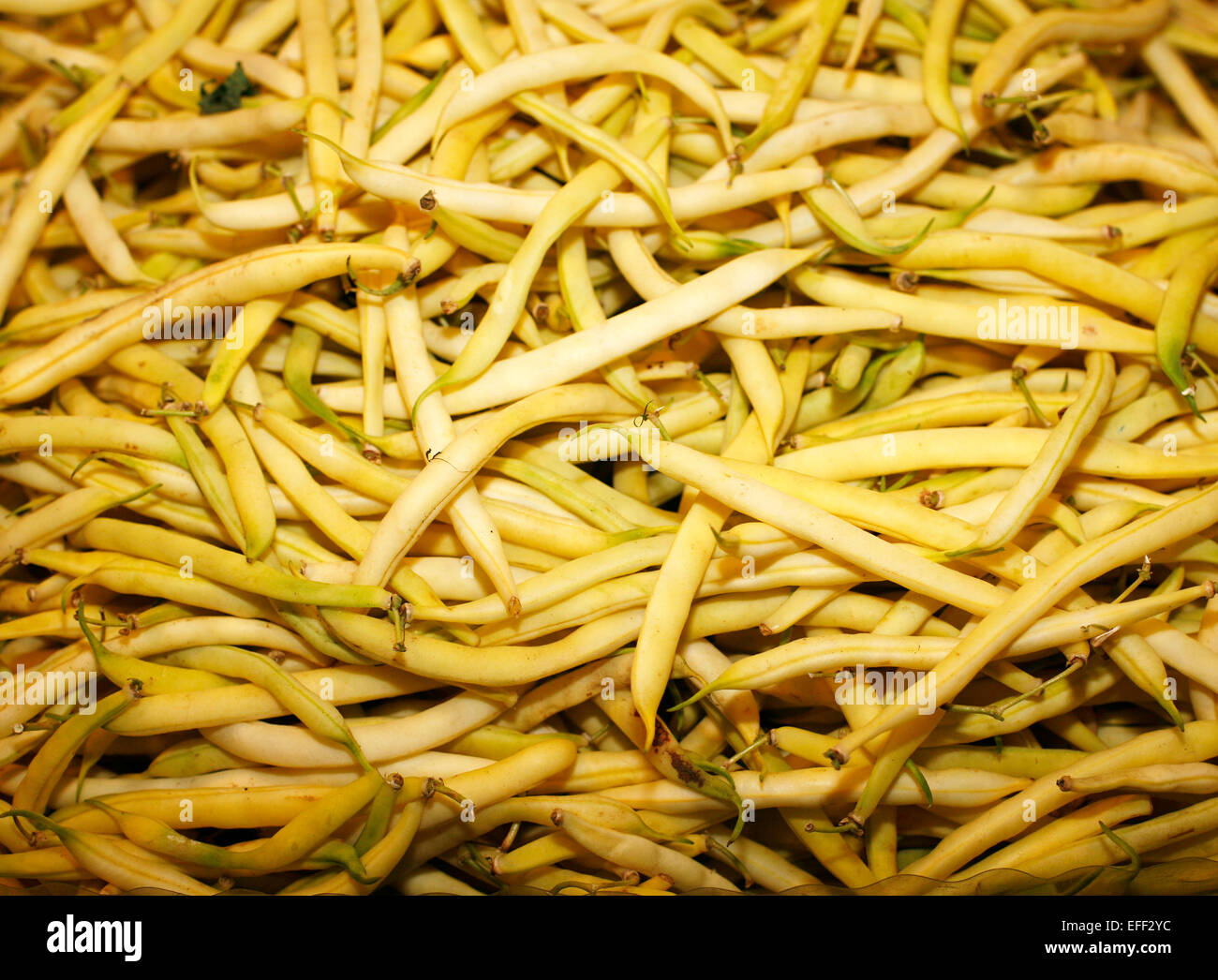 Yellow colored beans on farmers market. Freshly organic colorful beans ...
