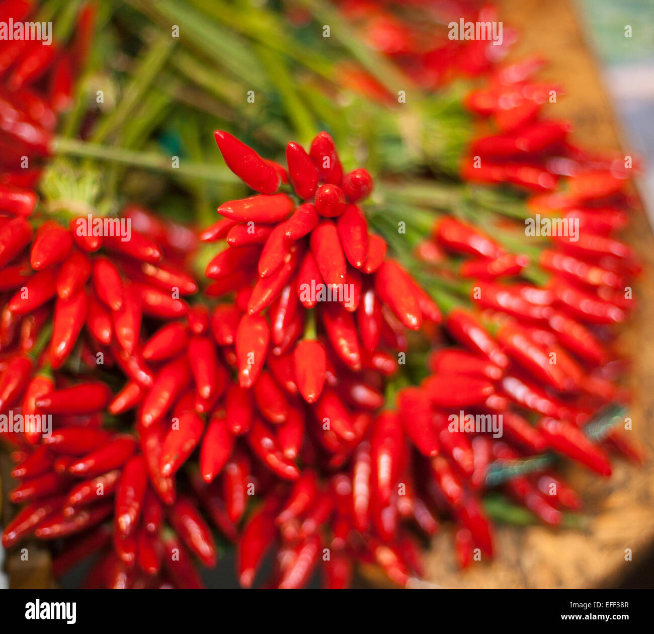 Red hot chili peppers on market stall as a background Stock Photo - Alamy