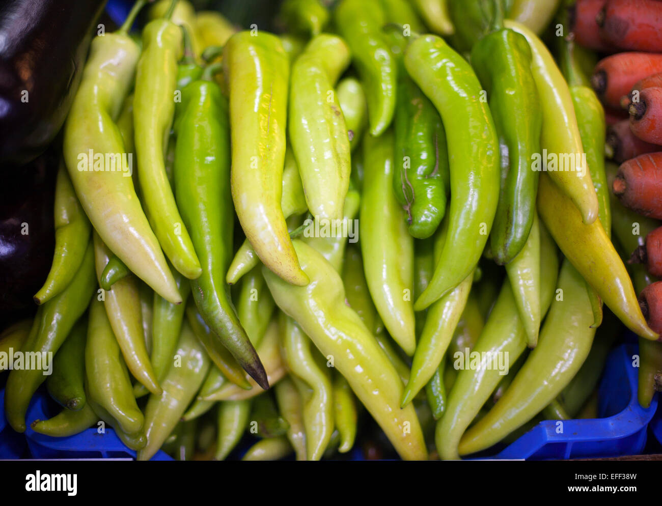 Hot green peppers in row at a farmers market Stock Photo - Alamy