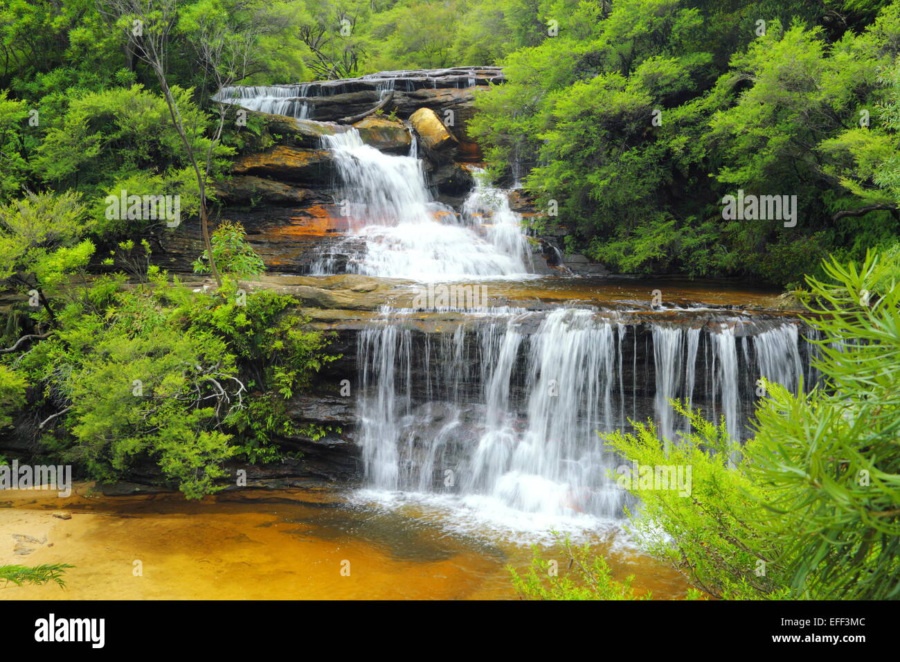 Waterfalls and rapids on Jamison Creek at Wentworth Falls in the Blue Mountains, NSW, Australia. Stock Photo
