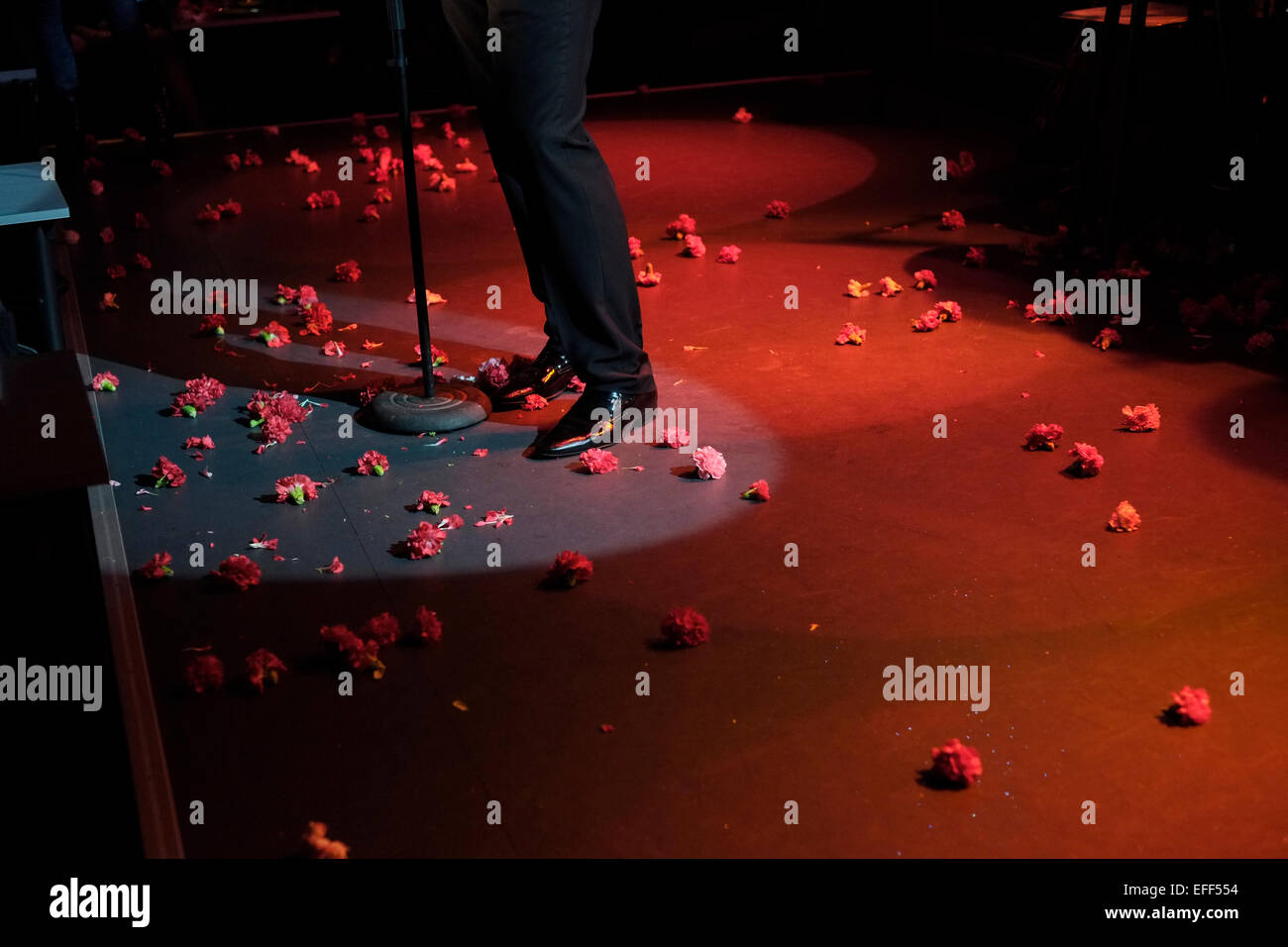 Rose flowers thrown at a Greek singer performing live during Rebetiko