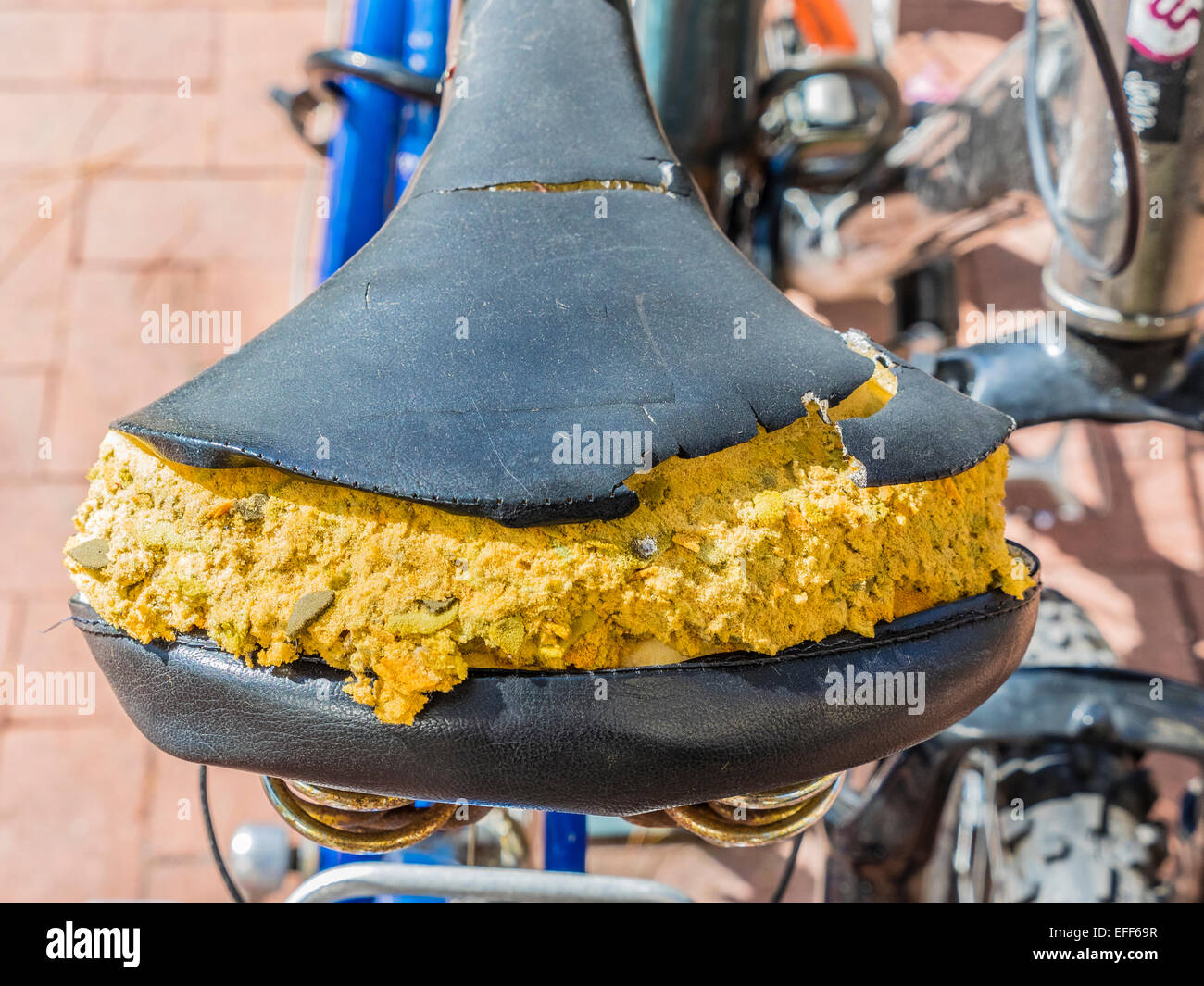 bike seat foam