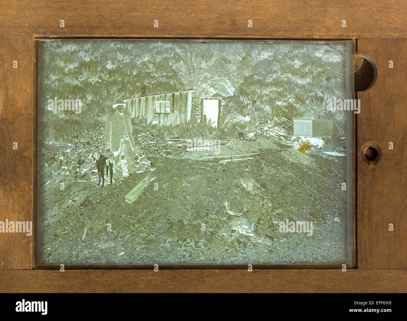 Original Glass Plate Negative High Resolution Stock Photography and