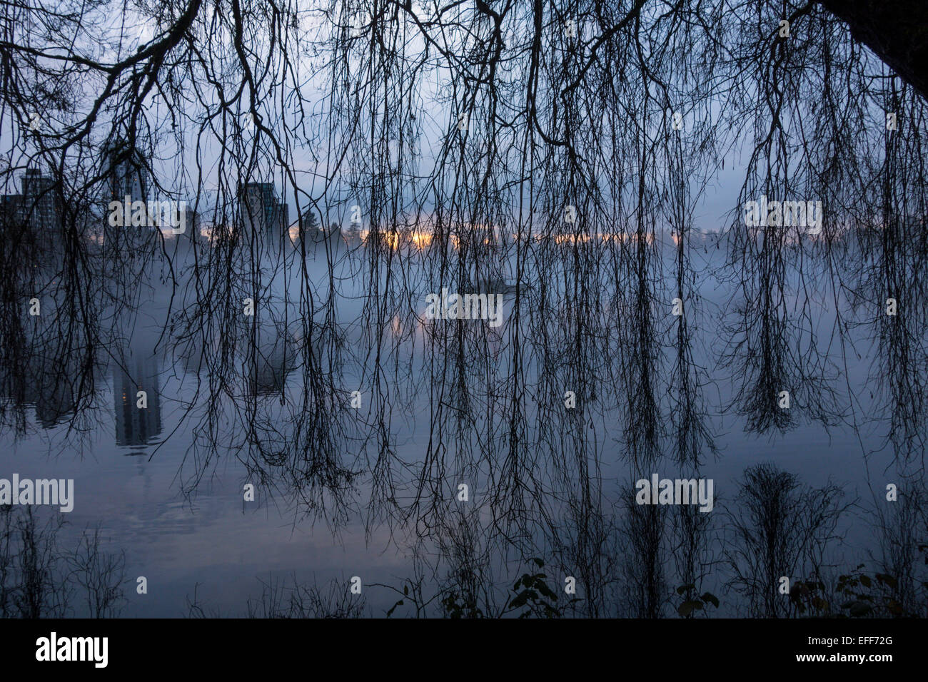 Lost Lagoon in Vancouver's Stanley Park at dusk. Stock Photo