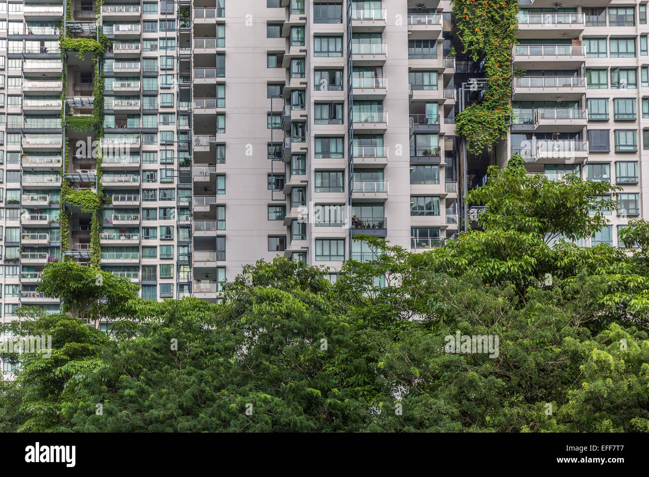 Apartment Buildings With Vertical Gardens In Singapore Stock Photo