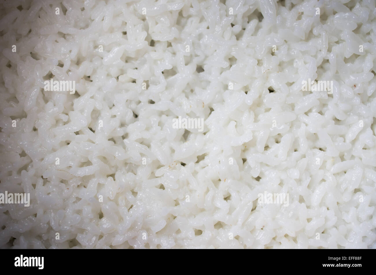 Rice is cooked in a rice cooker Stock Photo