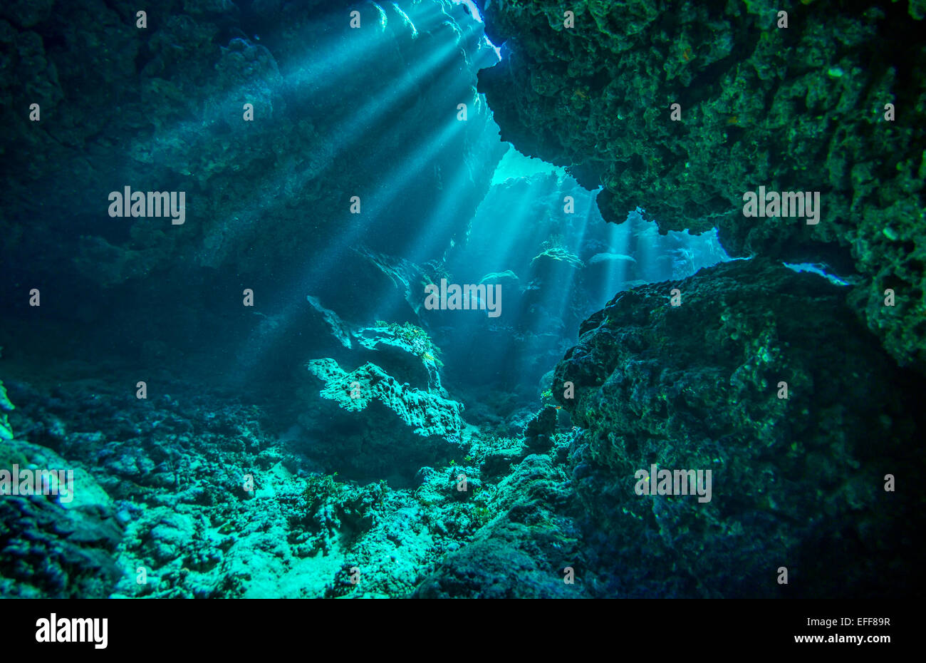 underwater caves and rays of light Stock Photo Alamy