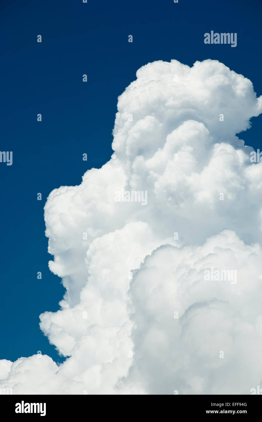Cumulus on sunny day, Florida, USA Stock Photo
