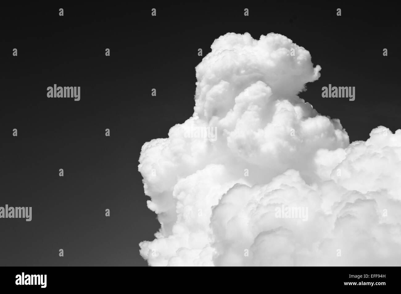 Daytime sunny Black and White Stock Photos & Images - Alamy