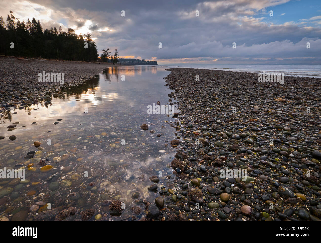 Stormy afternoon at Birch Bay State Park, Washington, USA Stock Photo