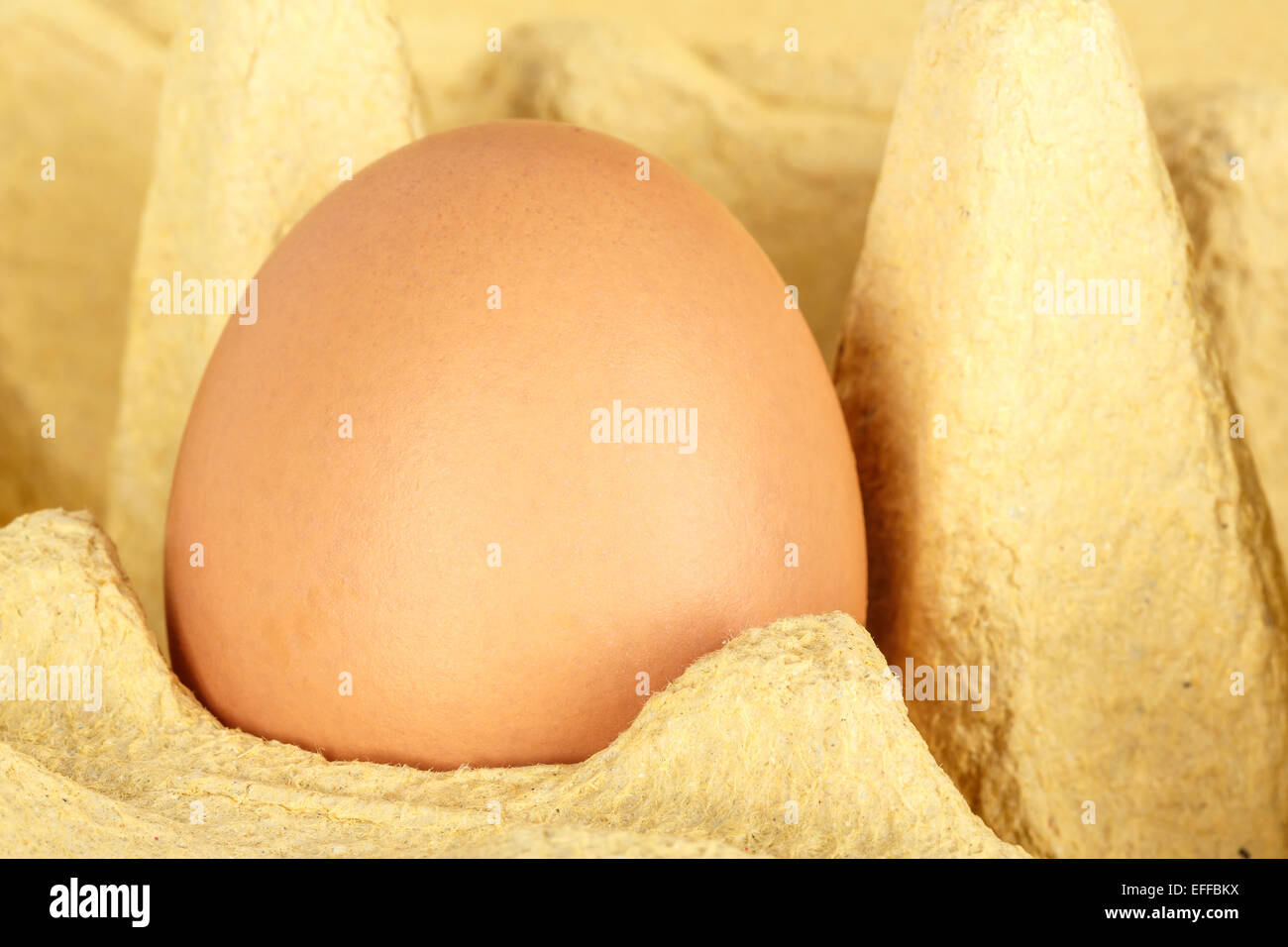 One egg in the packaging Stock Photo