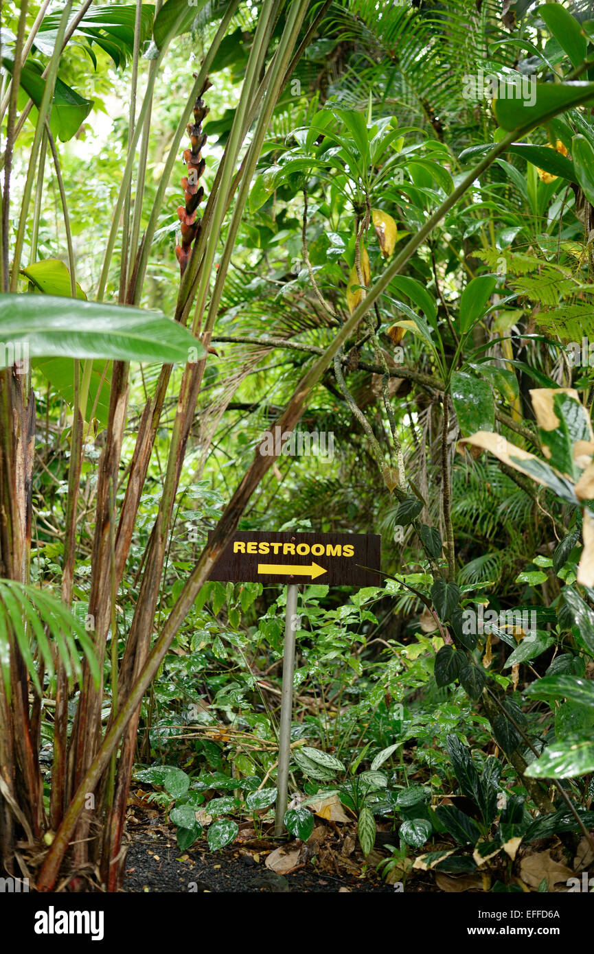 USA, Hawaii, Big Island, Papaikou, direction sign in the rain forest Stock Photo