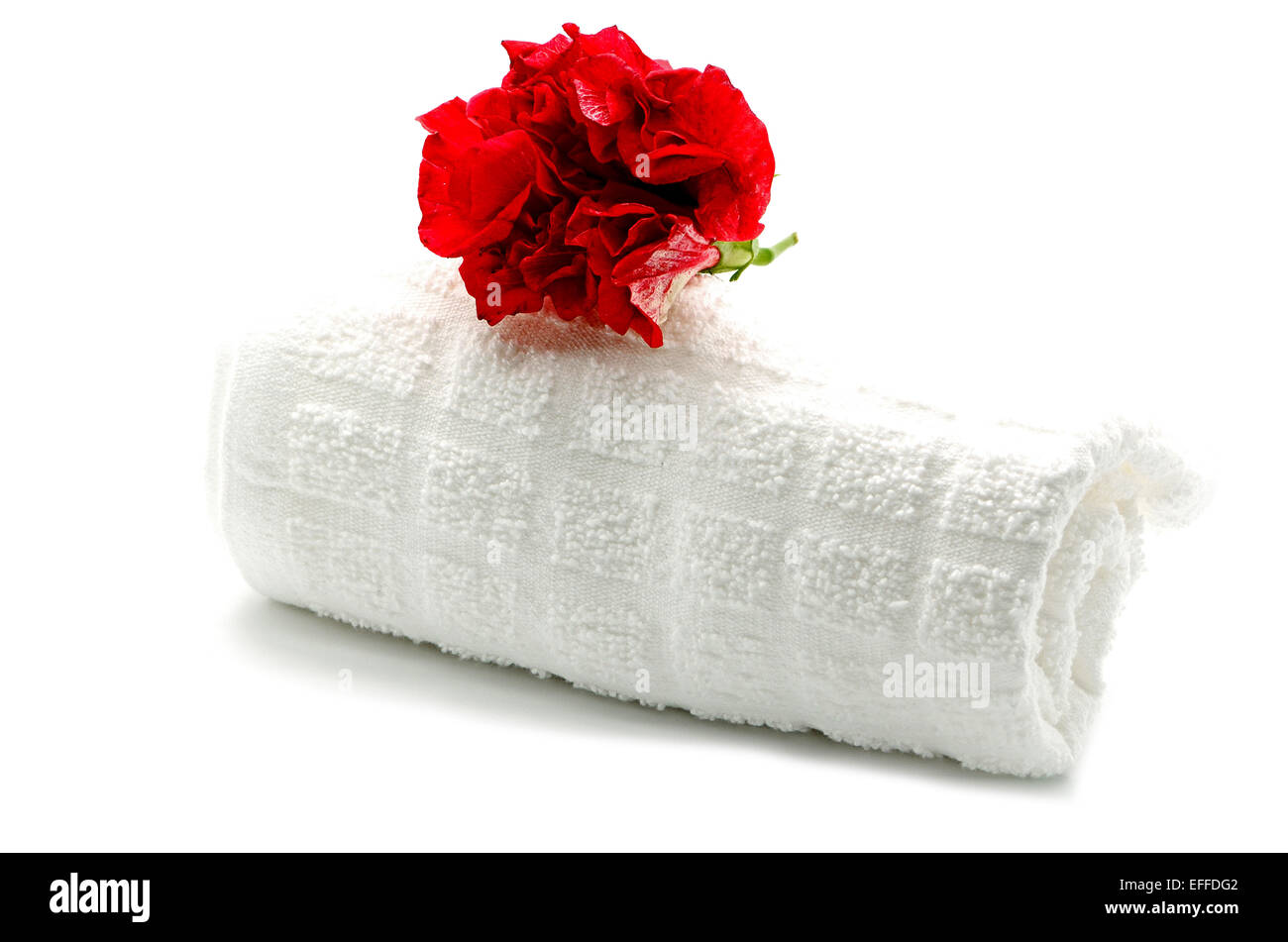 Beautiful red Hibiscus flower with towel on spa theme Stock Photo