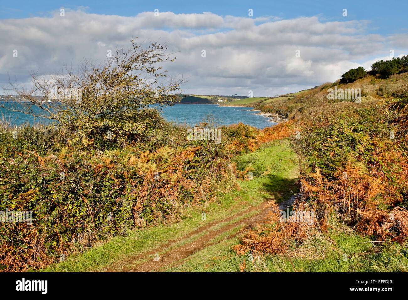 Coastal Path Near St Mawes St Just in Roseland Cornwall; UK Stock Photo