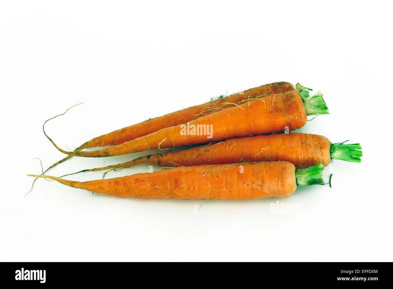 raw and fresh carrots Stock Photo