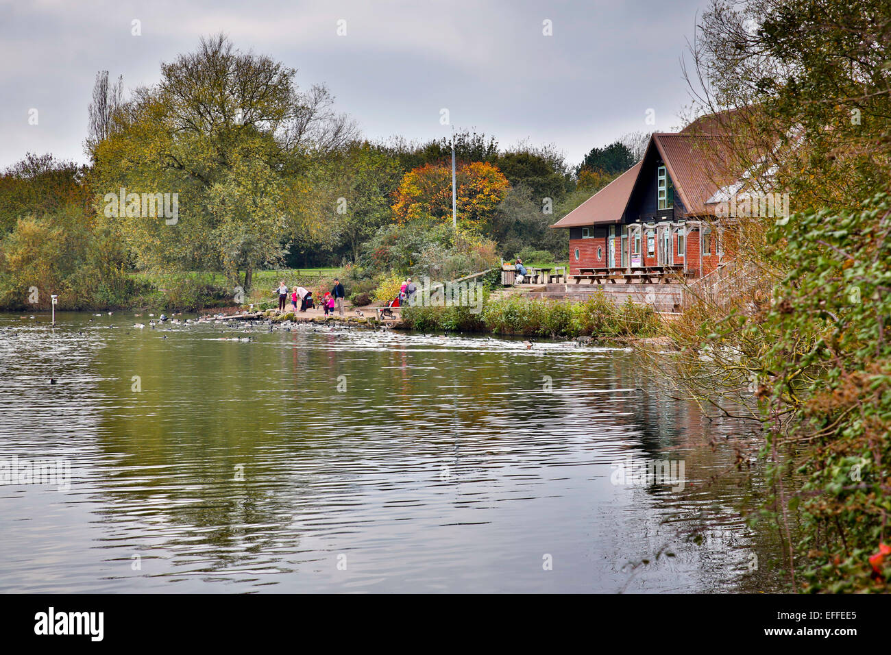 The Nature Discovery Centre Thatcham West Berkshire; UK Stock Photo