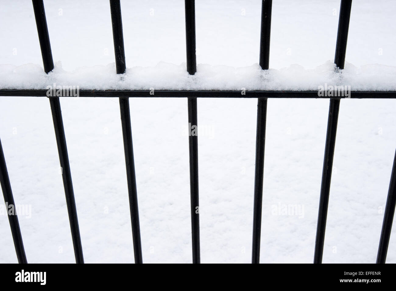 Oxford, UK. 3rd February 2015. Railings provide a strong abstract image. A couple of inches of snow covers the ground and classic landscapes of Oxford for the first time this winter. Photo: Andrew Walmsley/Alamy Live News Stock Photo