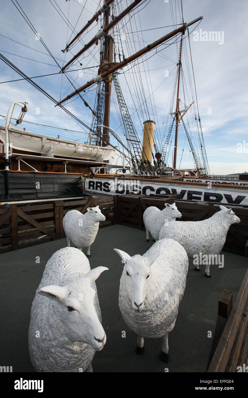 RRS Discovery, the ship of Captain Robert Falcon Scott and Ernest