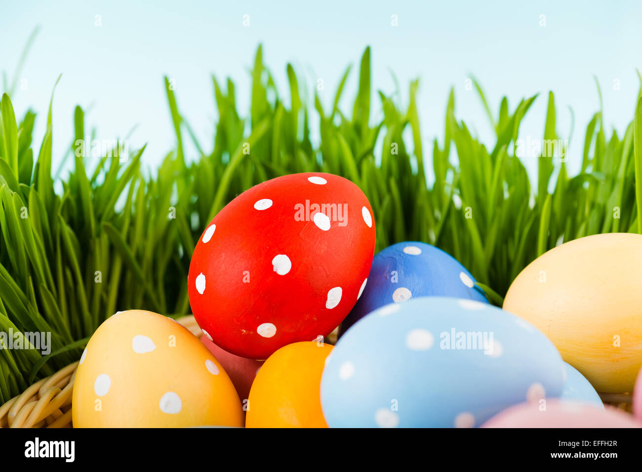 Easter eggs in basket on meadow Stock Photo - Alamy