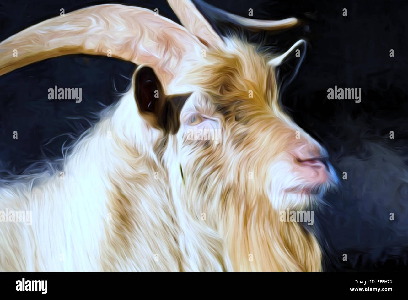 chinese new year goat characteristics