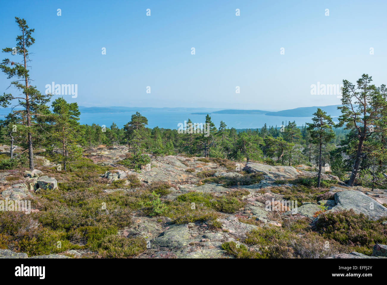 Sweden, Vaesternorrland County, Skuleskogen National Park, view from Slattdalsberget to Baltic sea Stock Photo