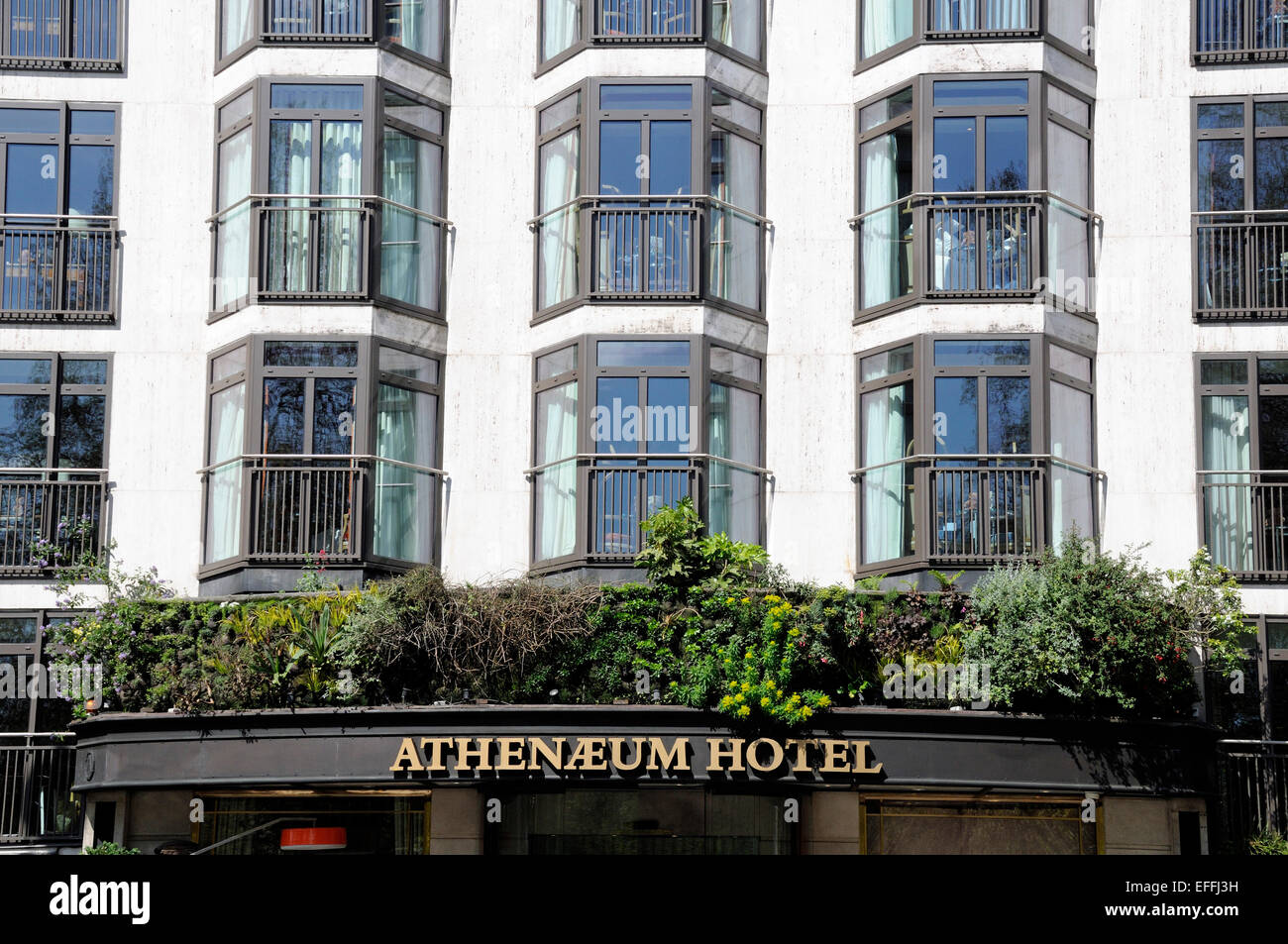 athenaeum-hotel-piccadilly-london-england-britain-uk-stock-photo-alamy