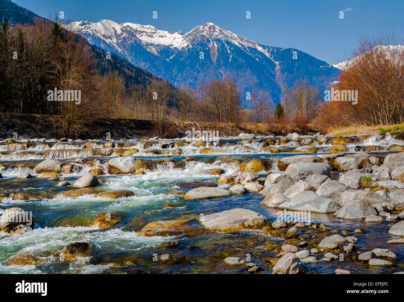 landscape with mountains trees and rocky river. Italy, Alps Stock Photo