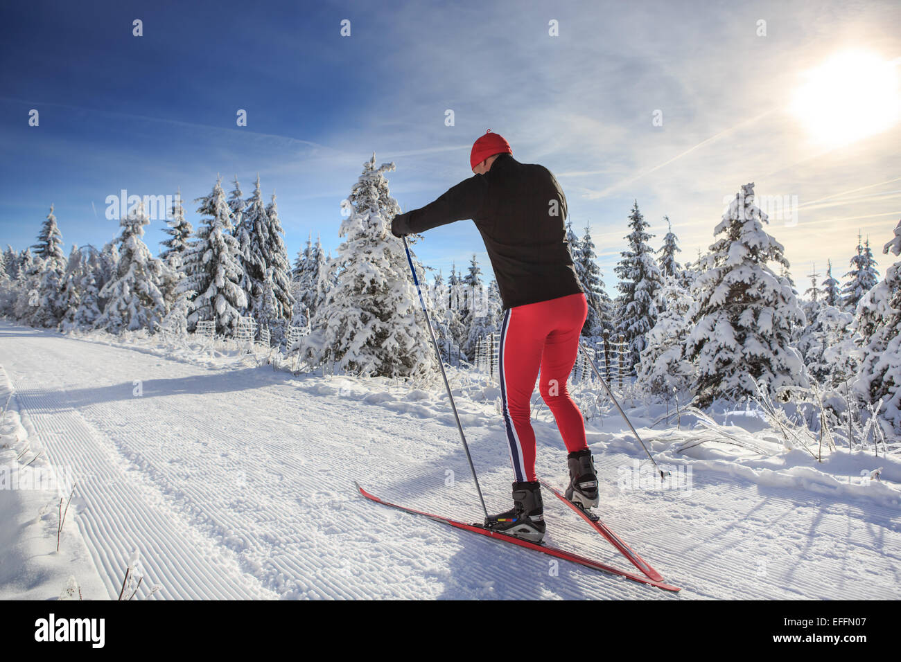 A man cross-country skiing on the forest trail Stock Photo
