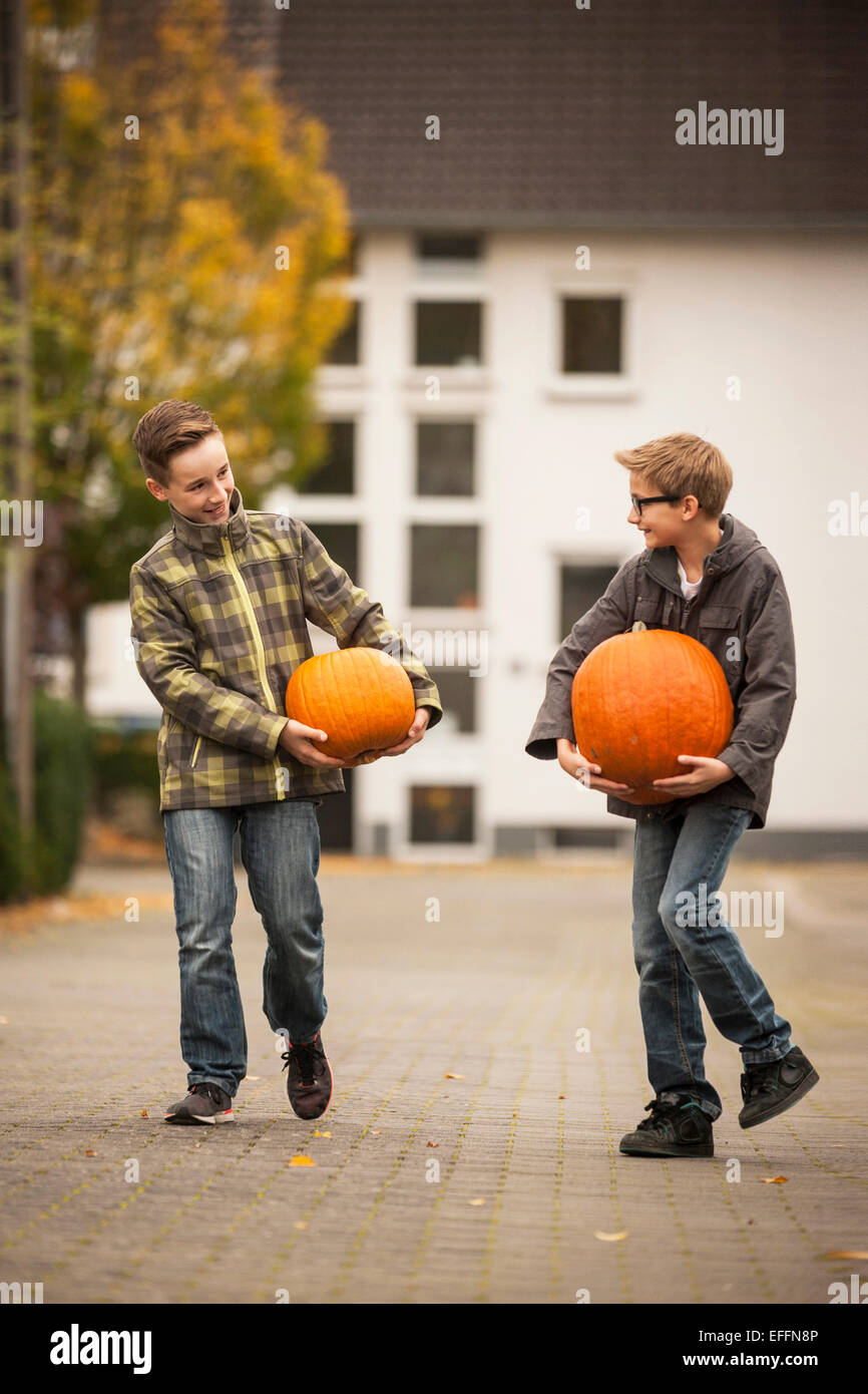 Two boys carrying two big pumpkins Stock Photo Alamy
