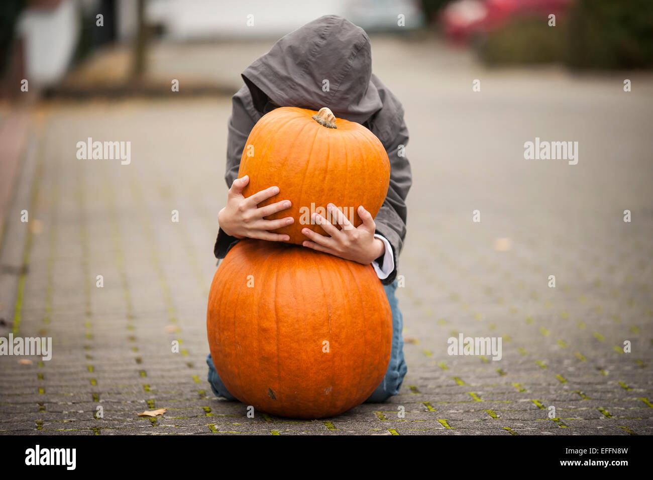 Boy kneeling behind two big pumpkins Stock Photo