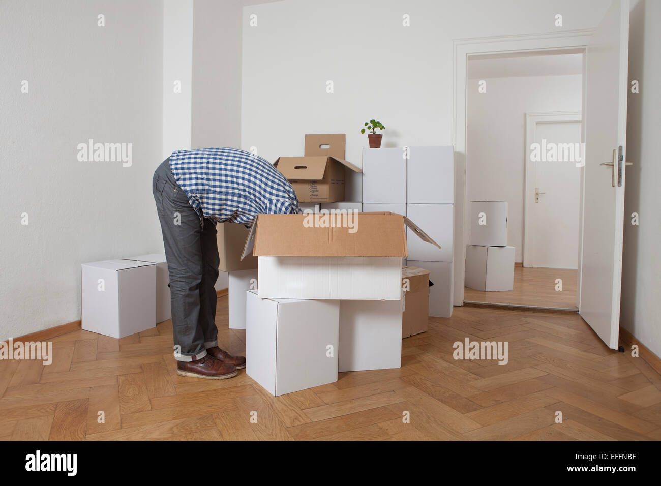 Man searching head first in cardboard box Stock Photo