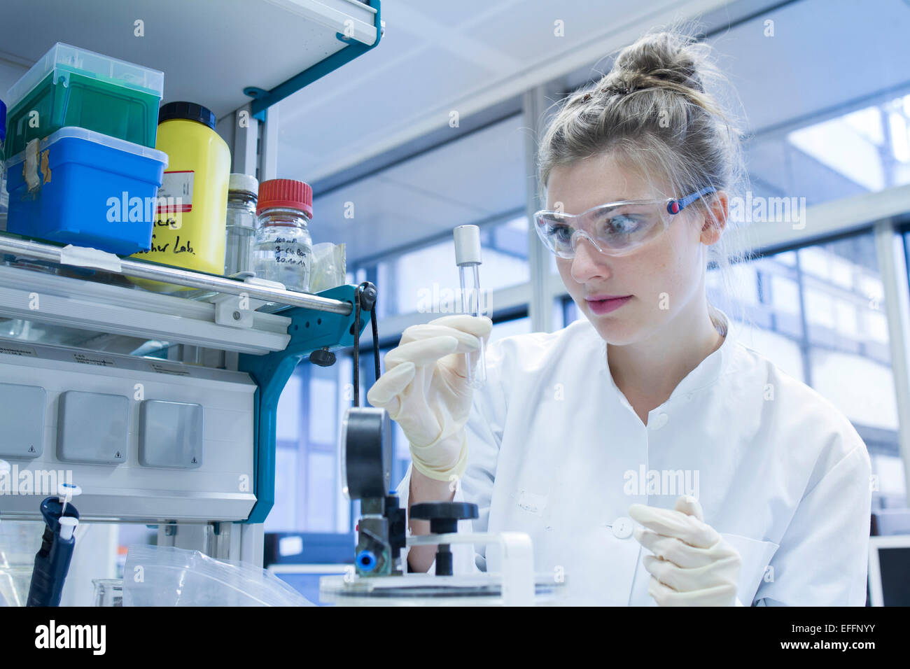 Biologist in laboratory looking at test tube Stock Photo - Alamy