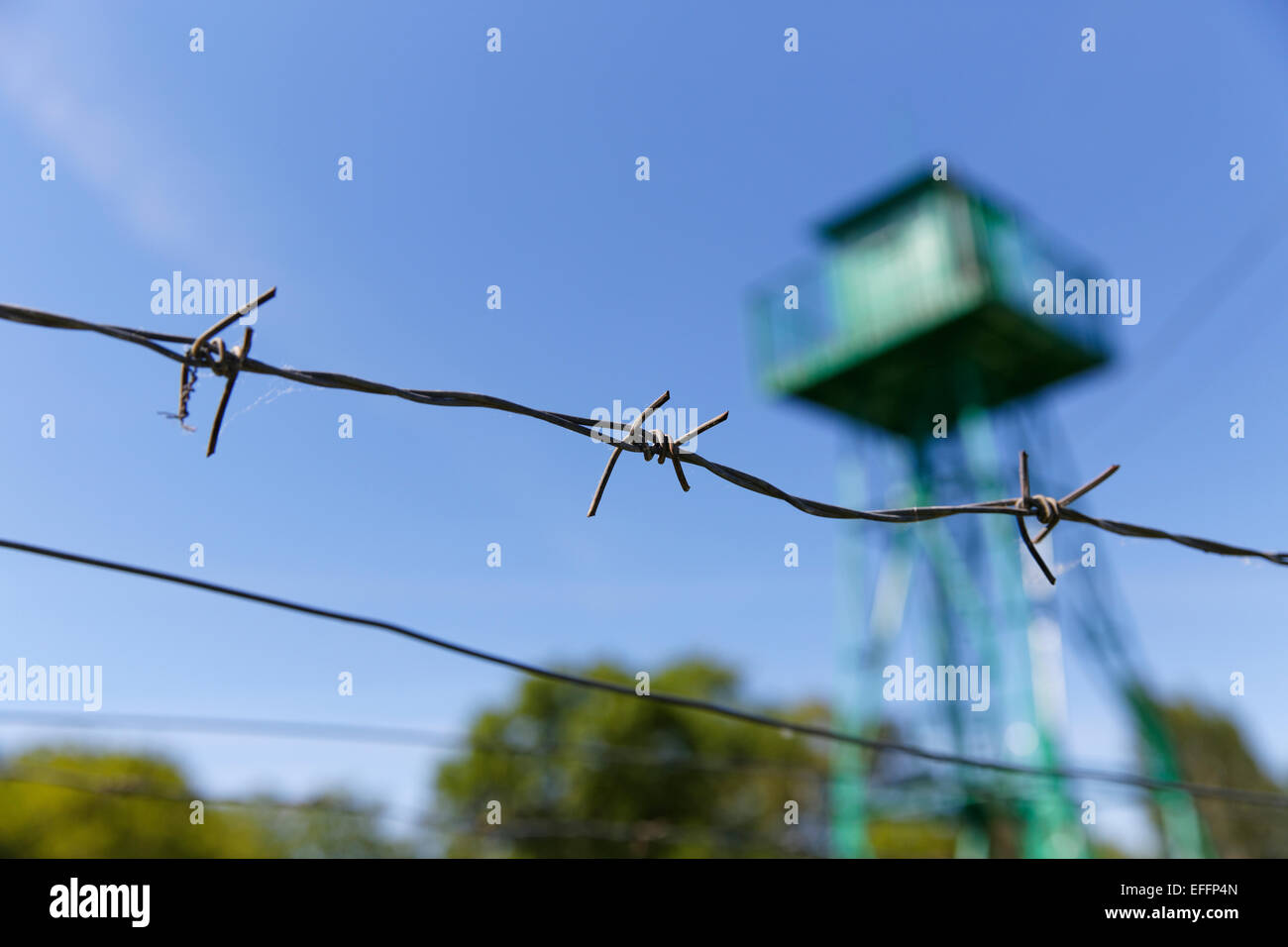 Austria, Burgenland, Bildein, detail of barbed wire fence Stock Photo