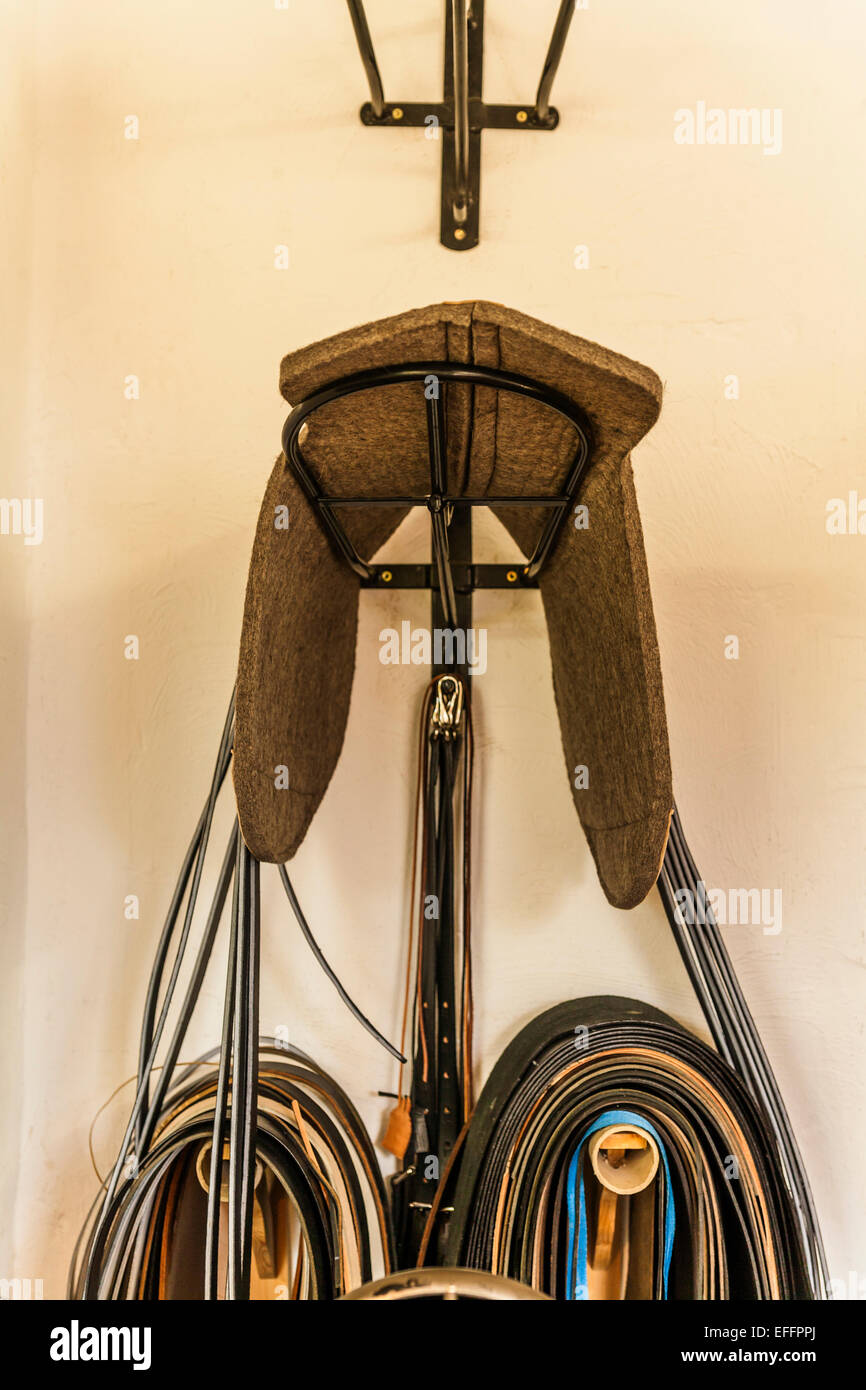 Saddle pad hires stock photography and images Alamy