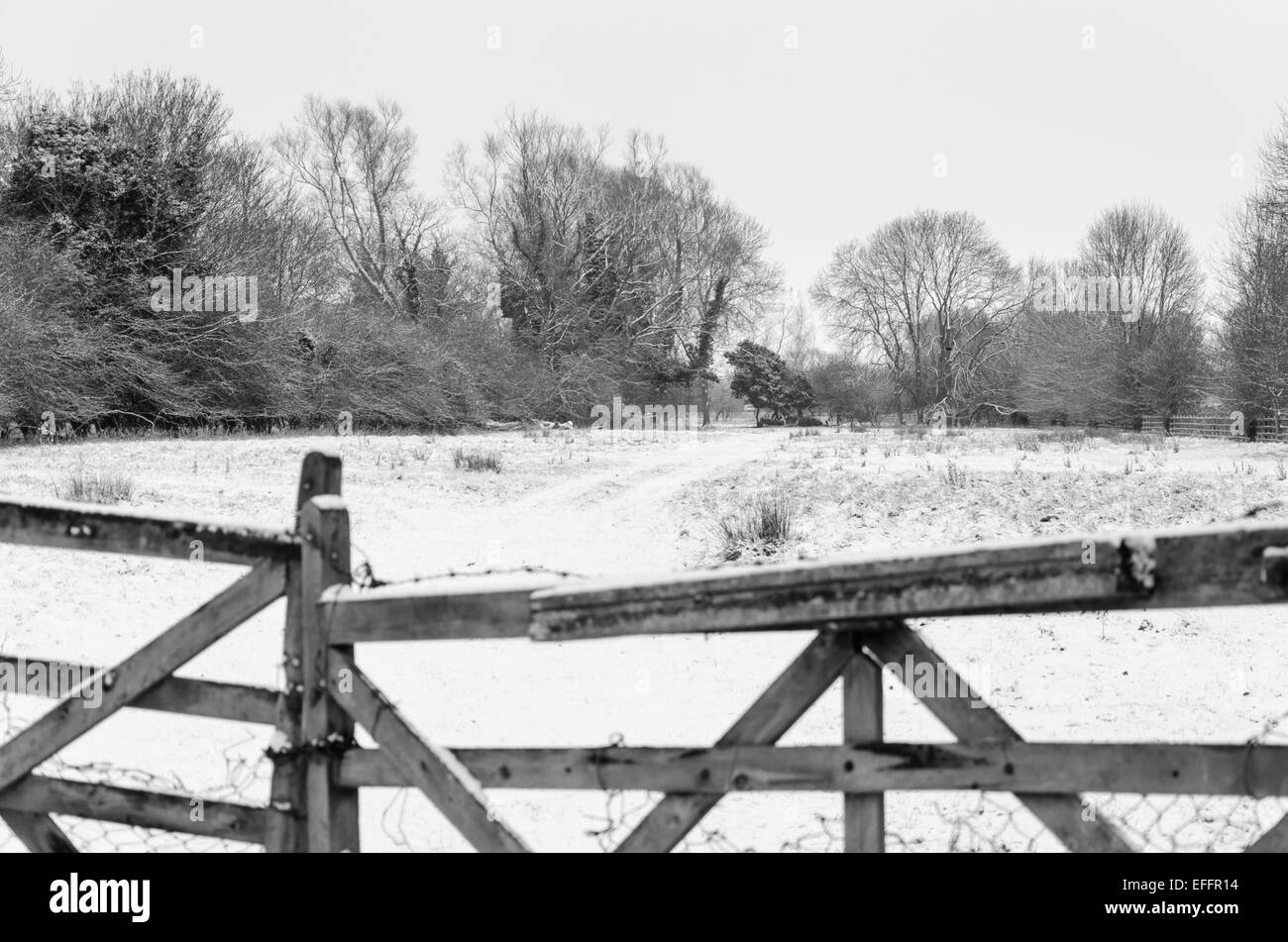 South Cambridgeshire, UK. 3rd February, 2015. UK Weather. Snow in East Anglia Stock Photo