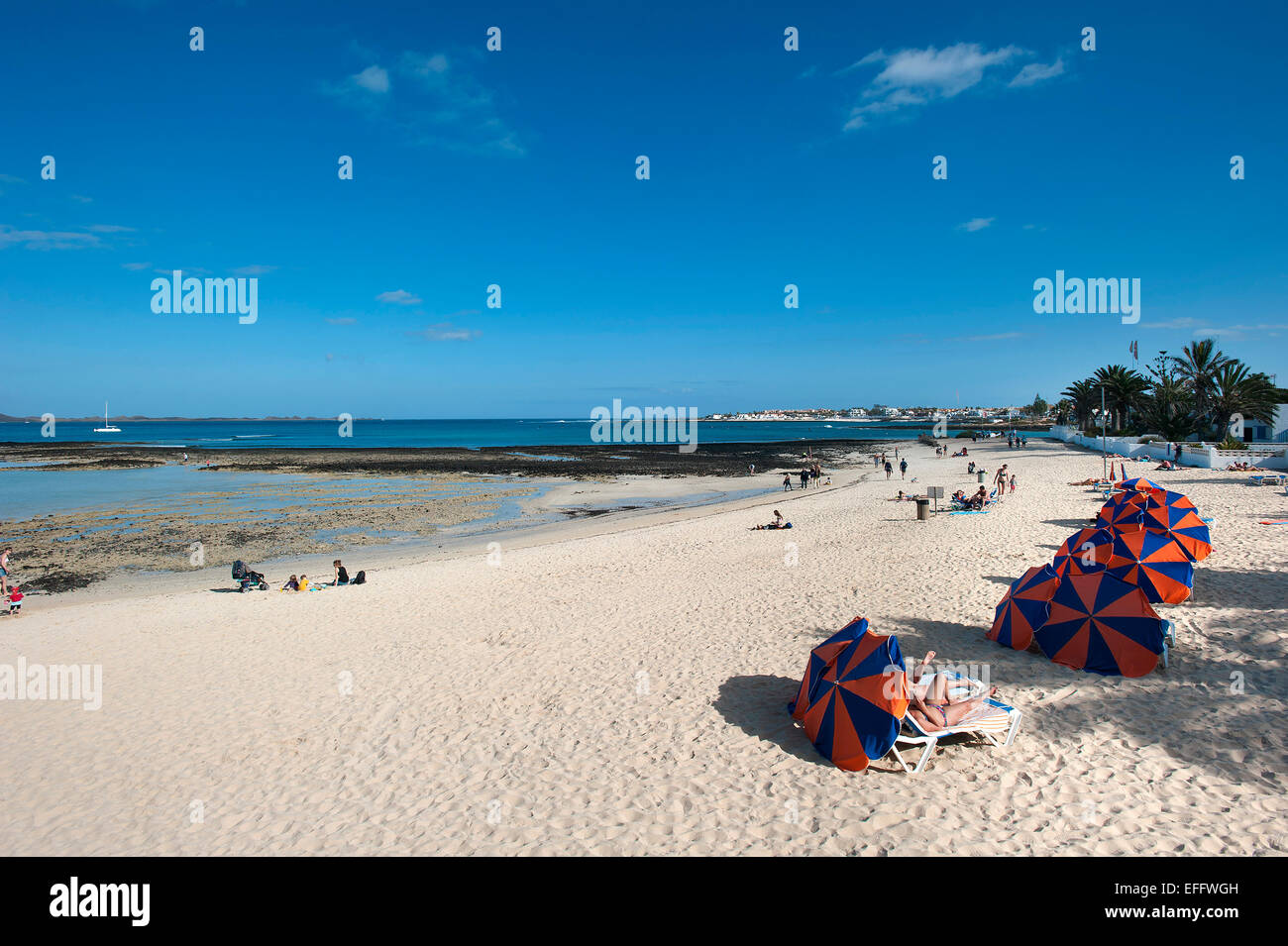Beach, Corralejo, Fuerteventura, Canary Islands, Spain Stock Photo